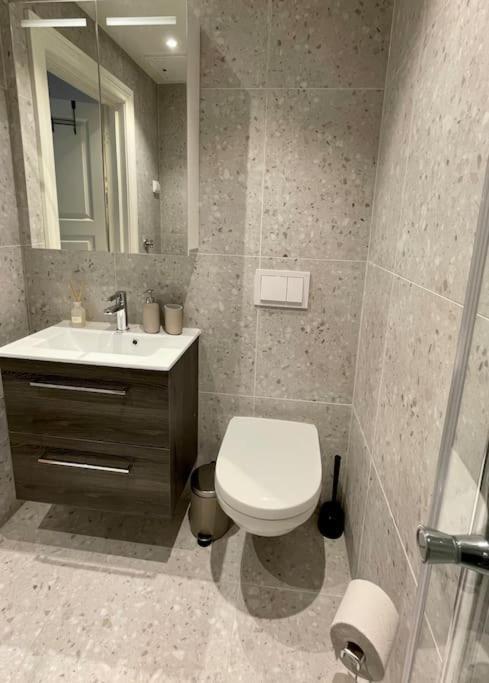 Modern And Cozy Studio Apartment In Central オスロ エクステリア 写真